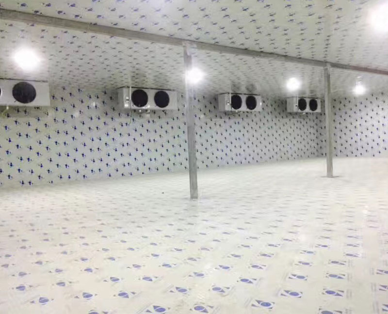 杨庙蔬菜基地/扬州九齐制冷设备有限公司